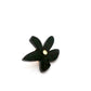 Bague flores noire artisanale 
