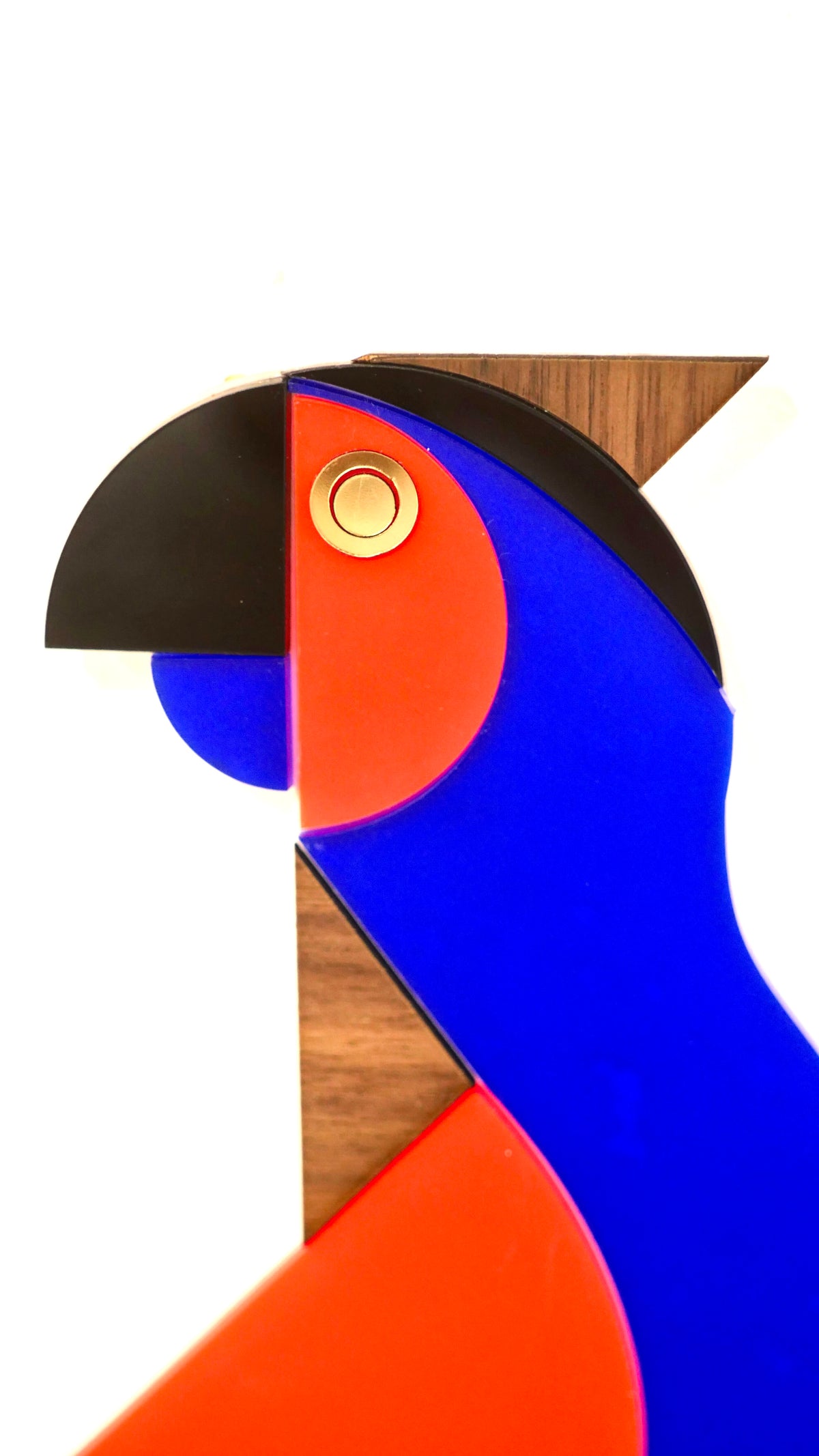 Perroquet décoratif mural bleu et orange, bois et plexiglas coloré