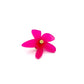 Pins Flores en plexiglass rose