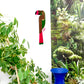 Décoration murale XL Toucan vert et rose, plexiglas coloré et bois, fait main en France 